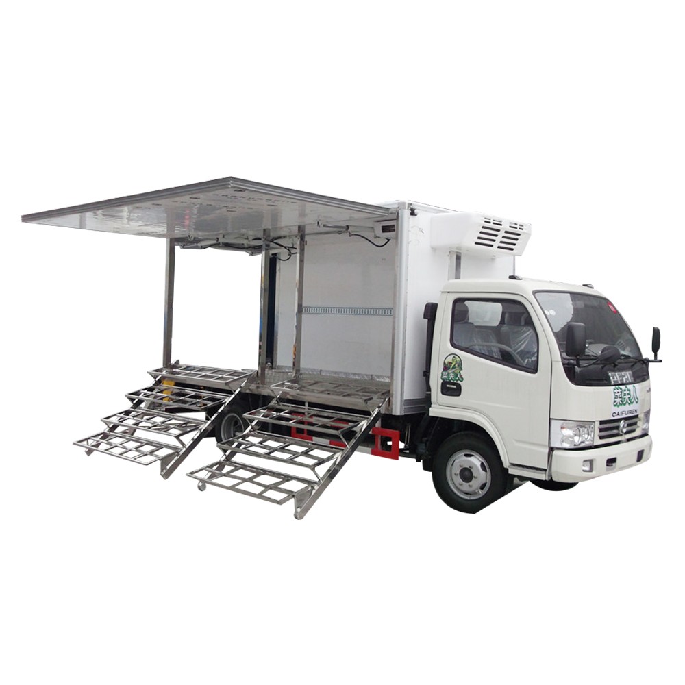 یخچال فریزر سبزیجات Dongfeng